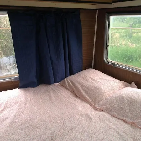 Camping Quinta Dos 7 Nomes Eco Coop *