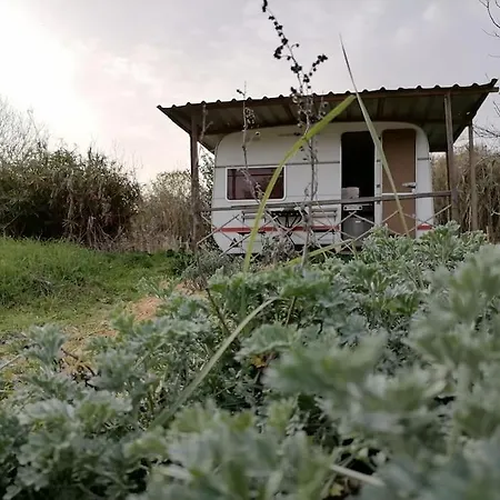 Quinta Dos 7 Nomes Eco Coop