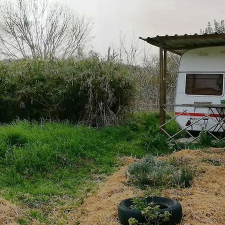 Quinta Dos 7 Nomes Eco Coop Camping